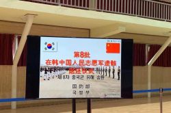 韓国ボランティア軍の109人の殉教者が帰国し、彼らのふりの場面が暴露された