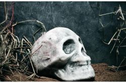 クラスは次々と死にました、誰もがパニックに陥っていました、彼らが死ぬ前に私だけが彼らのひどい経験を見ました