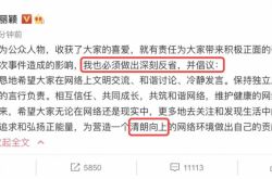 趙麗穎の後、さらに21人の韓国のエンターテインメントファンが禁止されます