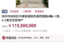 杭州“最贵法拍房”1.16亿元开拍 目前仅一人报名未出价