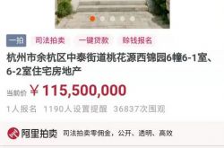 杭州最贵法拍房1.16亿元开拍 目前仅1人报名