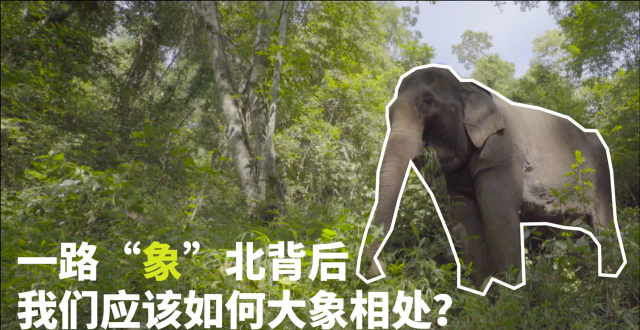 ���˽Ⱒ���ĺ�Ĭ����Ů�����᣺��������� ϣ�����żǵ���