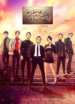 了不起的长城封面图