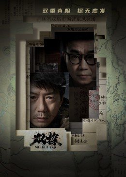 双探封面图