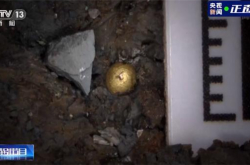 三星堆发现24k纯金小金珠 毫米大小含金量超99%！工艺成谜