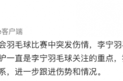 オリンピックチャンピオンの陳雨菲は大会でスニーカーにカットされ、李寧はそれに応えた