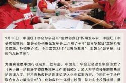 يقترح الصليب الأحمر إدراج تدريس الإسعافات الأولية في المناهج المدرسية