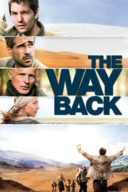 回来的路封面图