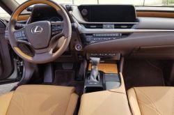アウディA4Lを運転し、次にレクサスESを運転した後、所有者：針の先端は小麦に反対しています