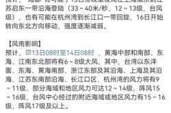 【台風経路リアルタイムリリースシステム】14号台風「スンド」に直撃