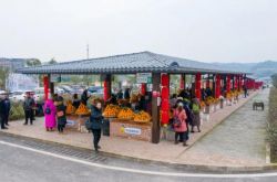 通仁温泉に浸かった後、玉寧正市場の新鮮な果物があなたの選択を待っています！