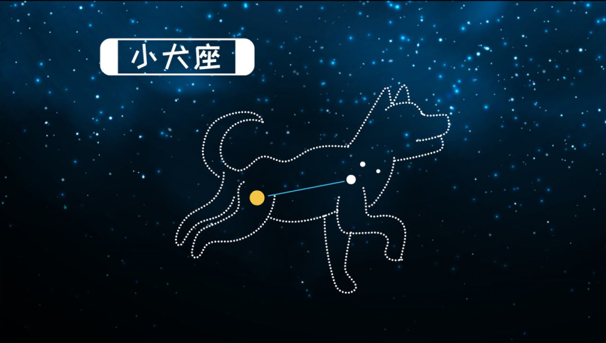 小犬座最亮的星图片