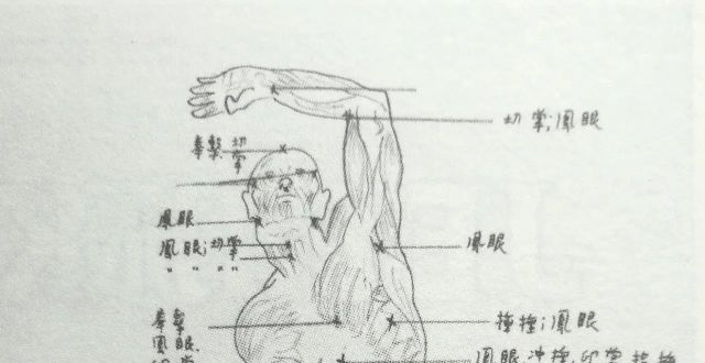 科学格斗:1960年代李小龙亲笔手绘人体解剖图之格斗攻击要害与攻击