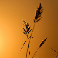 终极大腿塑型运动,跟着美女教练动起来!