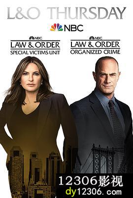 法律与秩序：组织犯罪第二季