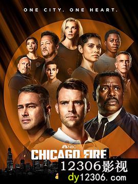 芝加哥烈焰第十季在线观看