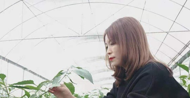 杨元桃：致富不忘返乡带领群众一起飞_腾讯新闻