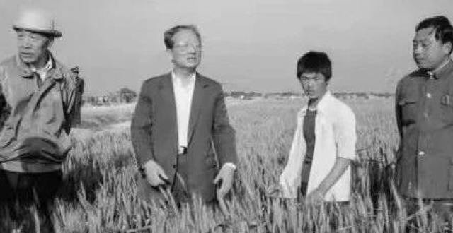 何迪：父亲何康与农业结缘的八十年_腾讯新闻