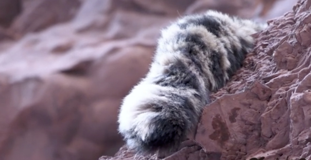 �����Ͼ�����һ����Χ���������ܲ³���ʲô������