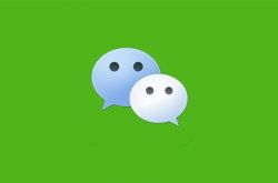 WeChat هو الخلل مرة أخرى! يظهر فجأة أن الطرف الآخر ليس صديقًا على الإنترنت: ظن أنه محظور