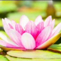 中老年人都喜欢听的一首歌 百听不厌