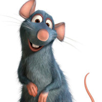 白衣女子紧身裤家庭慢摇《凤凰飞》简单易学