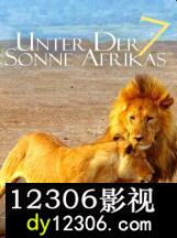 走进非洲7：拂晓之狮