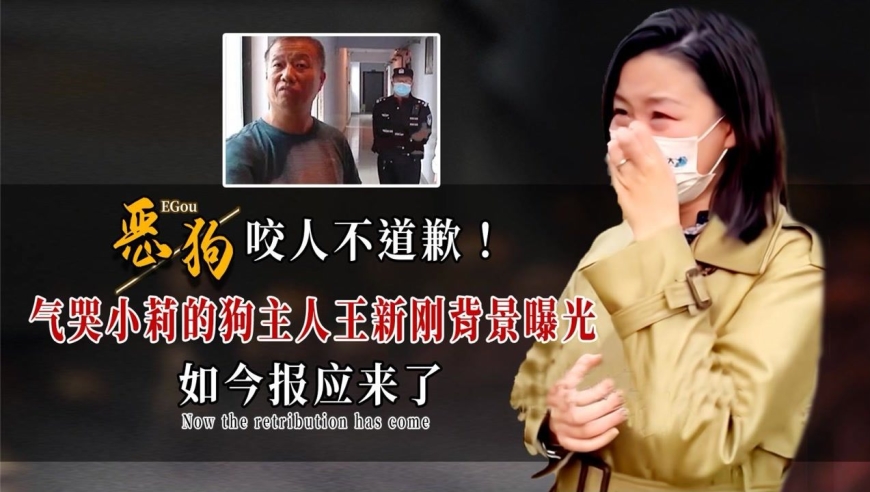 气哭小莉的狗主人王新刚背景曝光,如今报应来了,大块人心