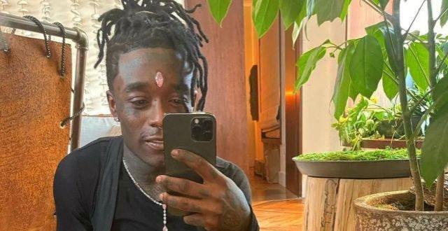 谢霆锋又火了,挑战呆木头"骚"牌动作会生仔的机器人你见过吗?