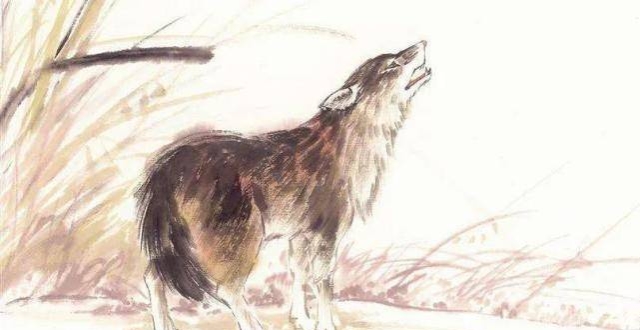 从狼三则到梦狼,说说聊斋志异里面的有关于狼的故事