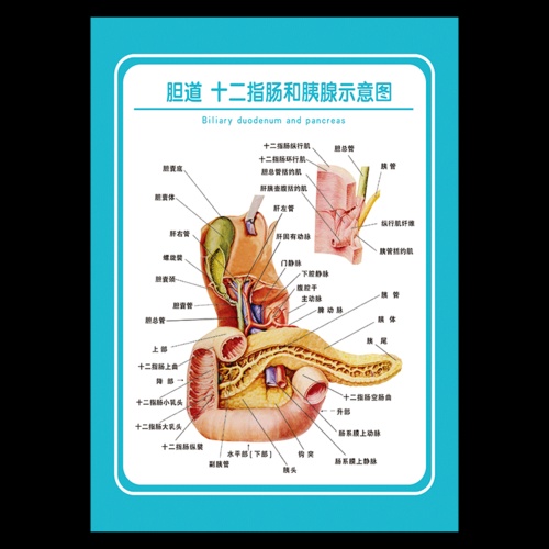 为什么称胰腺癌为癌中之王仅仅是因为它治愈率低吗