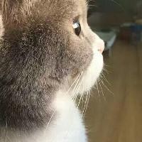 四川方言 搞笑视频之重庆话套路,就问你怕不怕