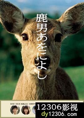 鹿男与美丽的奈良在线观看