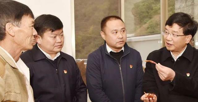 杨斌：完整准确全面贯彻新发展理念 推动各项工作高质量发展_腾讯新闻