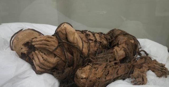 秘鲁出土千年木乃伊,为何全身被绑,捂脸屈膝?现场照片相当惊悚.