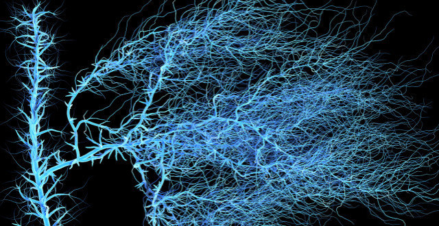 "渐冻症"运动神经元是什么,基本表现都有什么?