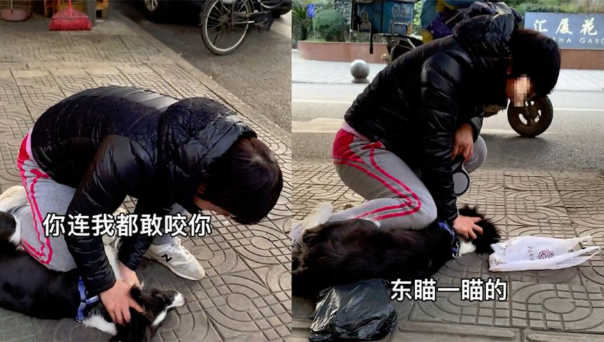 女子被自家狗咬后当街教训,单手按头腿压脖子气愤直言:服不服气