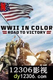 彩色二战：胜利之路在线观看