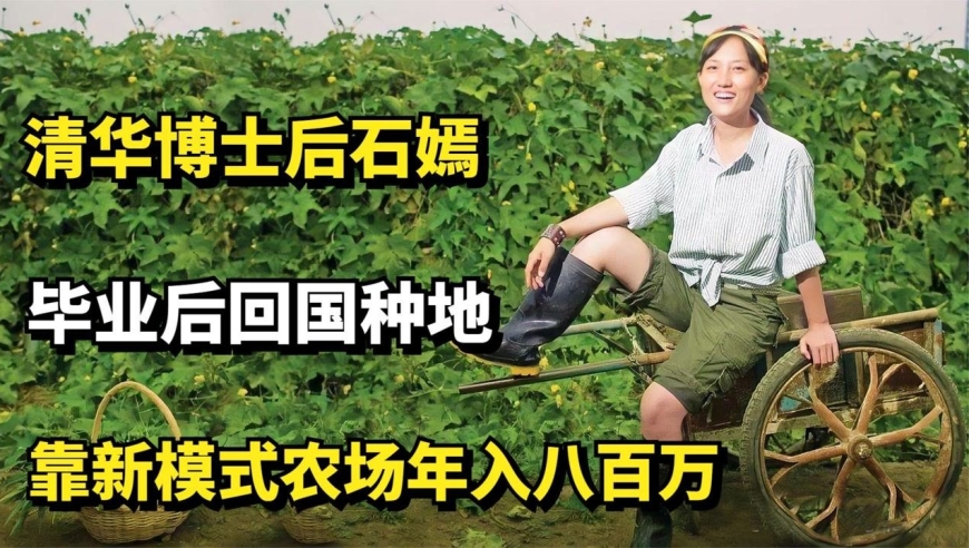 清华博士后石嫣:毕业后回国种地,靠新模式农场年入八百万!