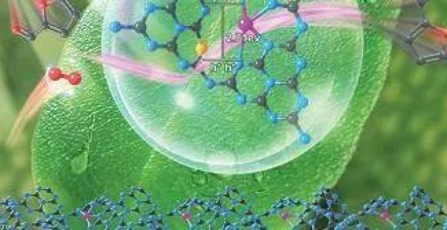 清华大学王定胜2021年催化工作集锦（下）_腾讯新闻