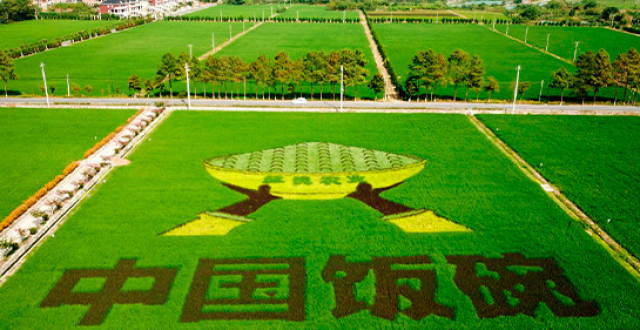 联播＋｜做好“三农”工作 三方面读懂习近平重要指示_腾讯新闻