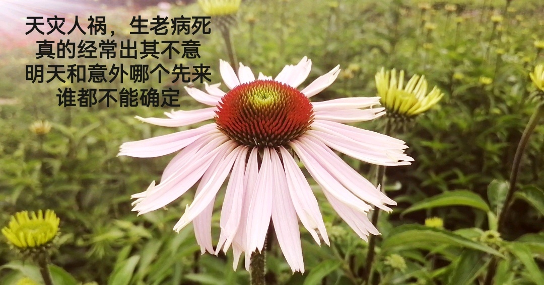 让人释怀的正能量人生语录句句深入人心激励人生