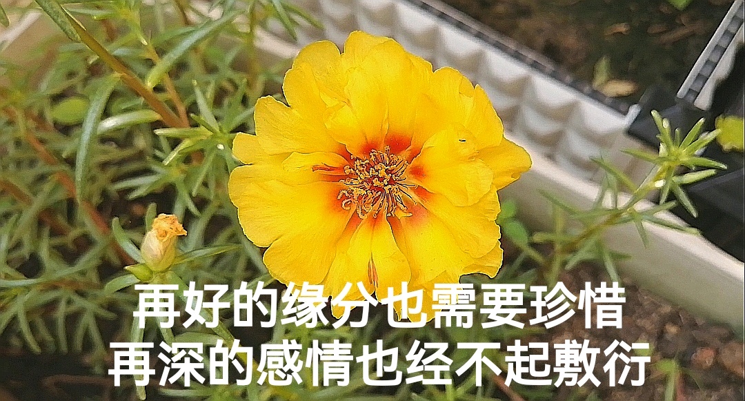 精辟走心的爱情语录发朋友圈人人点赞