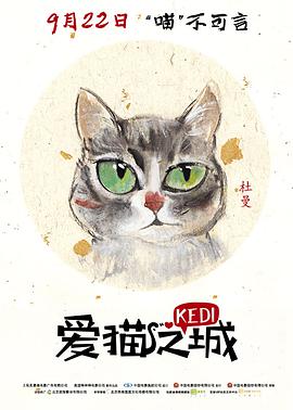 爱猫之城（普通话)