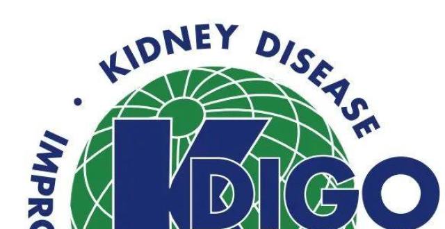 2021KDIGO肾小球肾炎临床实践指南合集_腾讯新闻