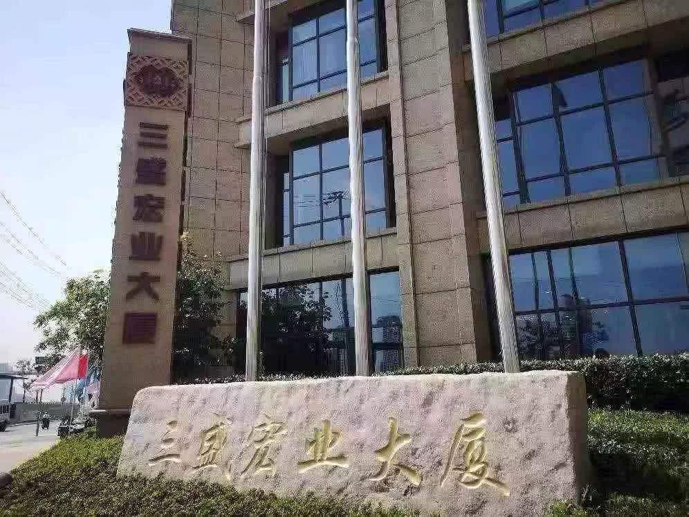 投案自首,为他曾经欠下的8亿债款承担法律责任,而他所创办的三盛宏业