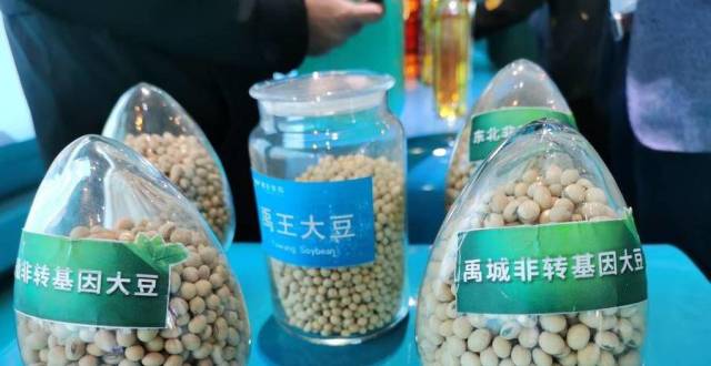 从种子到餐桌全产业链，山东“豆王”每年带农增收2亿元以上_腾讯新闻