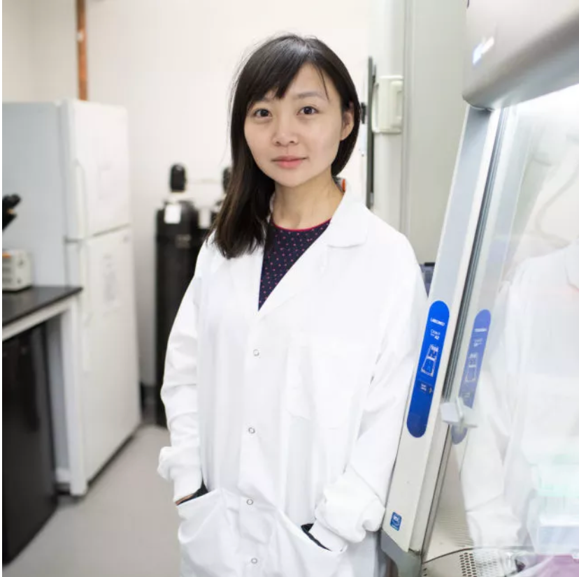 生物技术公司的贡献,这家公司的背后是一位36岁华人女科学家杨璐菡