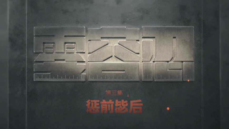 电视专题片《零容忍》第三集《惩前毖后》