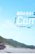 两个小生去Camping